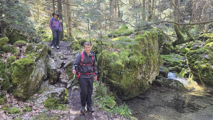 טרק המנליון